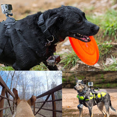 GoPro Fetch Dog Harness Chest Mount For Hero 5/4/3 Black Silver Sport Session
